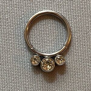 Hinged Ring (Septum Piercing) - 18g, 8mm